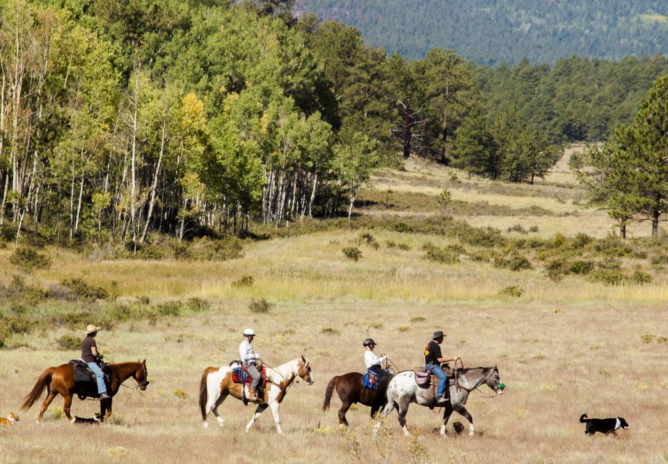horseback riding lessons near oroville
